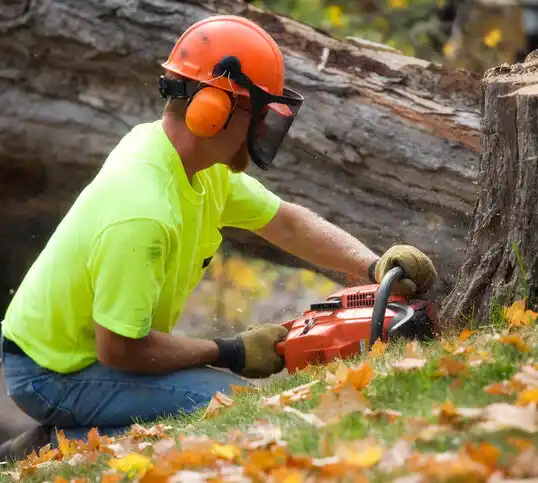 tree services Hurstbourne Acres